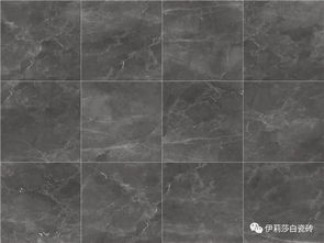 伊莉莎白大理石瓷磚系列全線上新